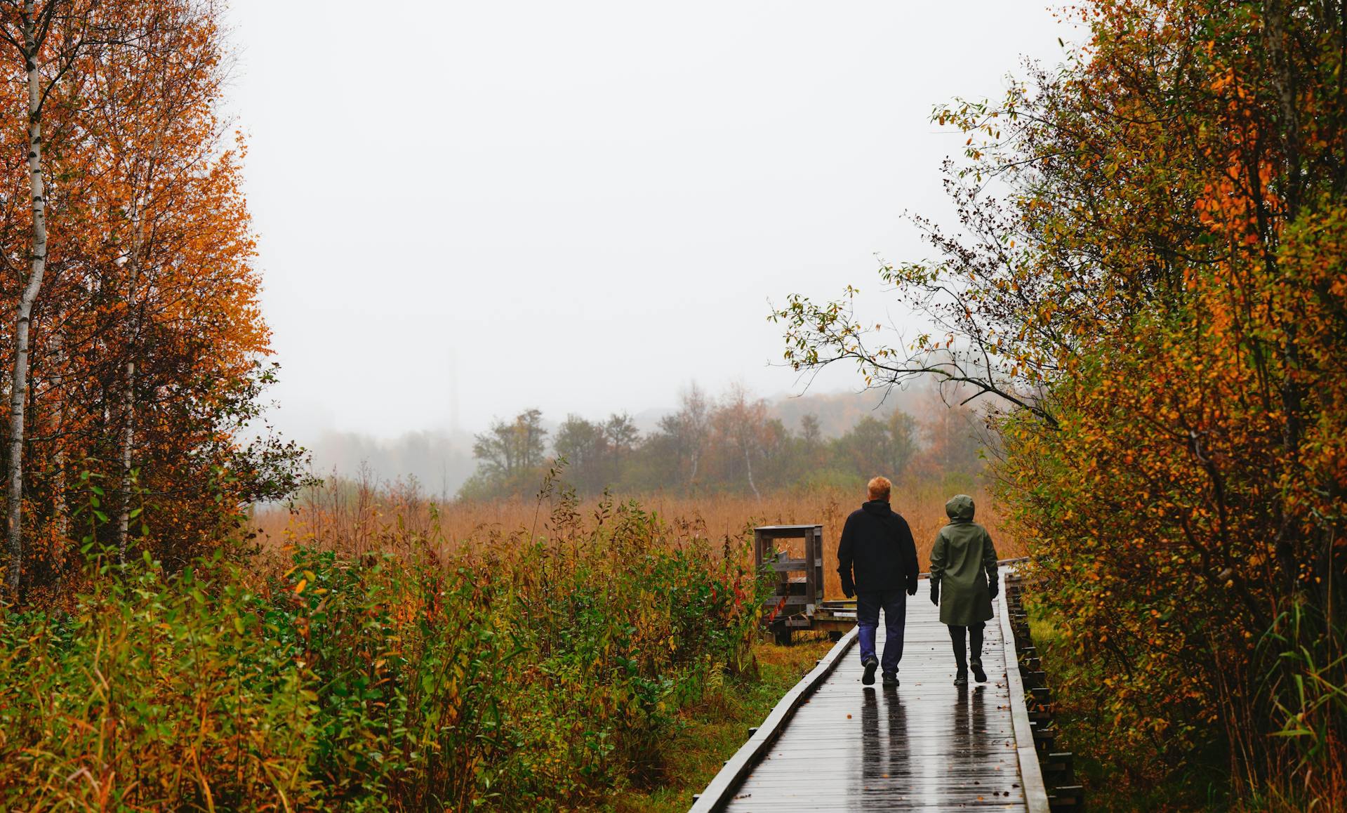 Informacje edukacyjne